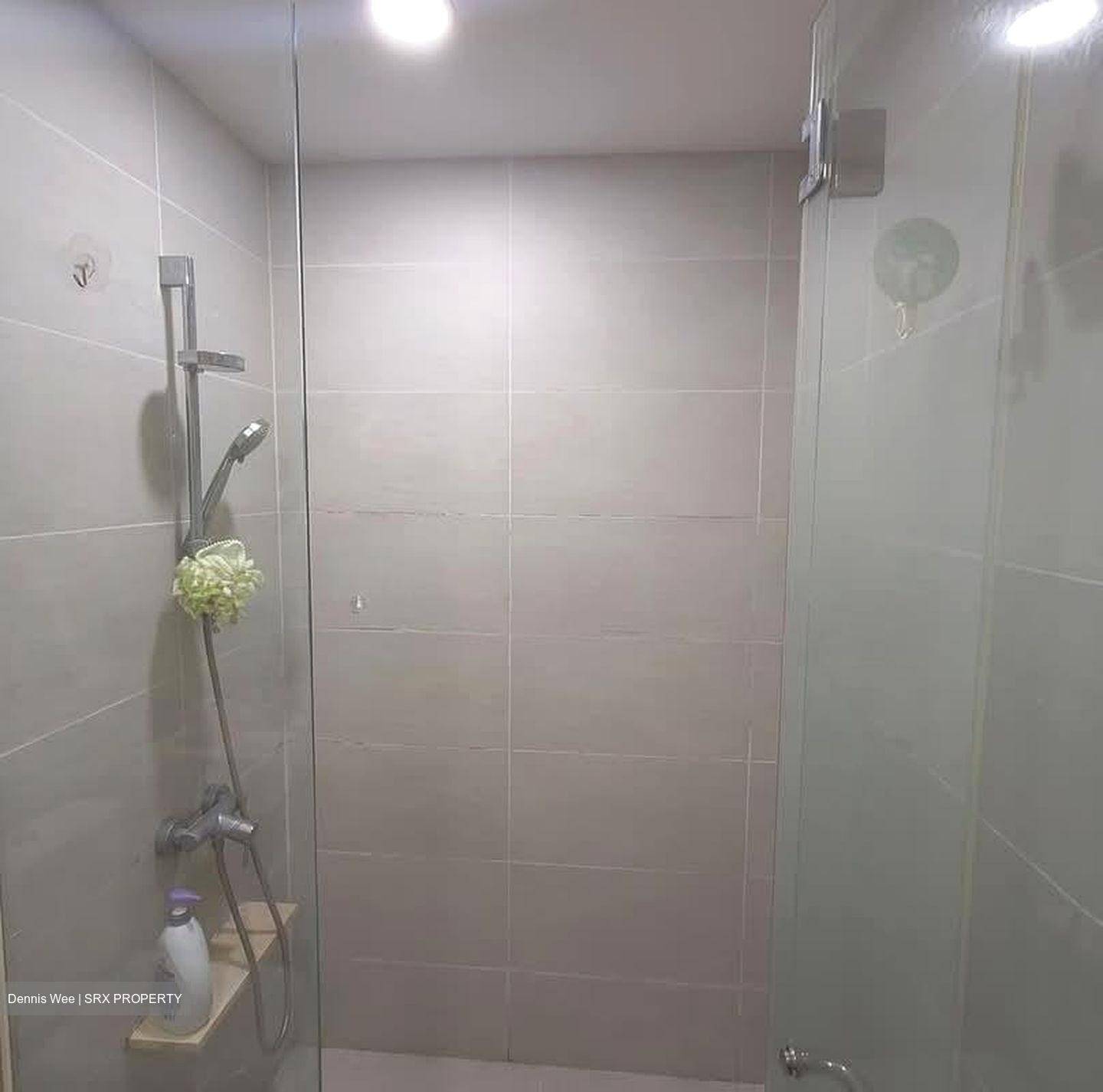 The Lakefront Residences (D22), Condominium #570160341